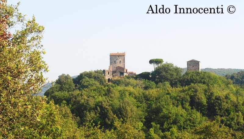 CASTELLO DI MONTARRENTI: CASTELLO 7' IMMAGINE